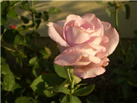 5256b143-Picture 3114.jpg